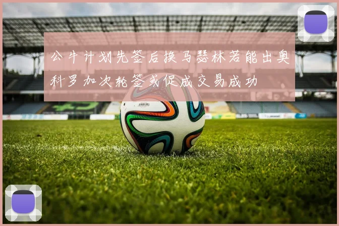 公牛计划先签后换马瑟林若能出奥科罗加次轮签或促成交易成功